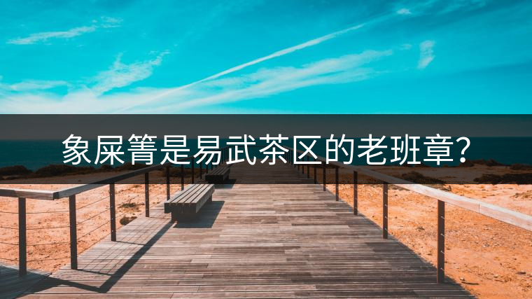 象屎箐是易武茶區的老班章? 象屎箐是易武茶區的老班章?