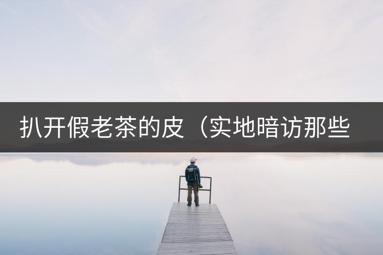 扒開假老茶的皮(實(shí)地暗訪那些千奇百怪的假老茶) 扒開假老茶的皮(實(shí)地暗訪那些千奇百怪的假老茶)