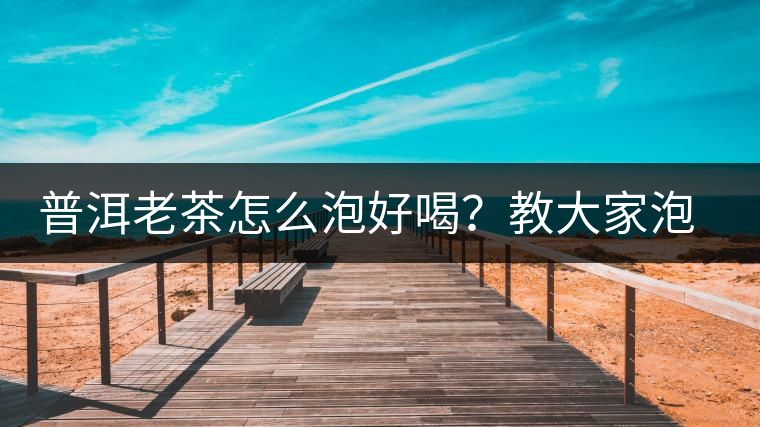 普洱老茶怎么泡好喝？教大家泡好一壺老茶詳細(xì)圖解