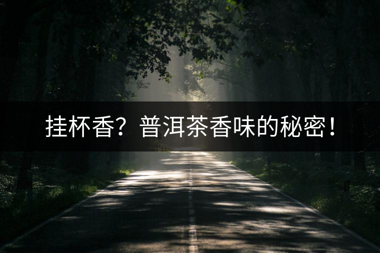 掛杯香？普洱茶香味的秘密！