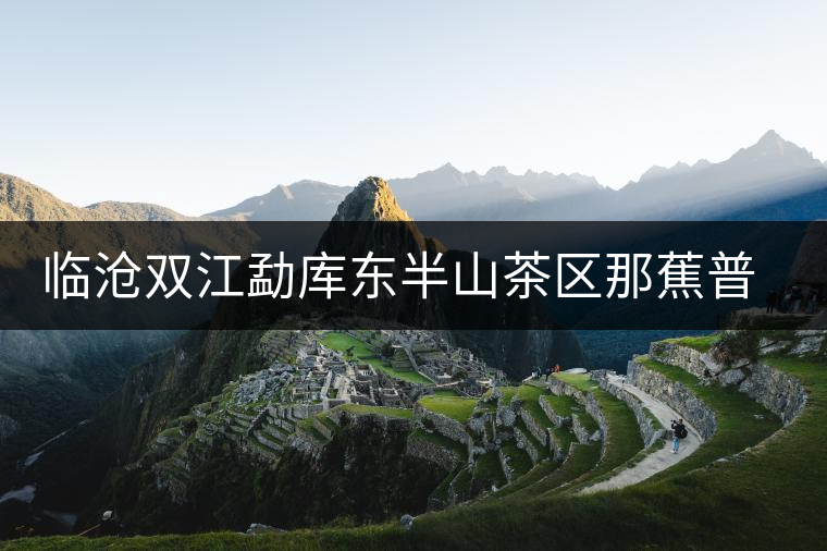 臨滄雙江勐庫東半山茶區那蕉普洱茶 臨滄雙江勐庫東半山茶區那蕉普洱茶