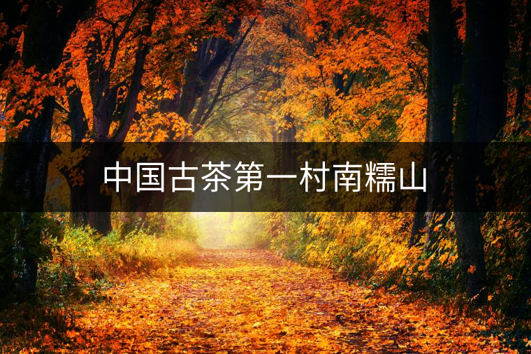 中國古茶第一村南糯山 中國古茶第一村南糯山