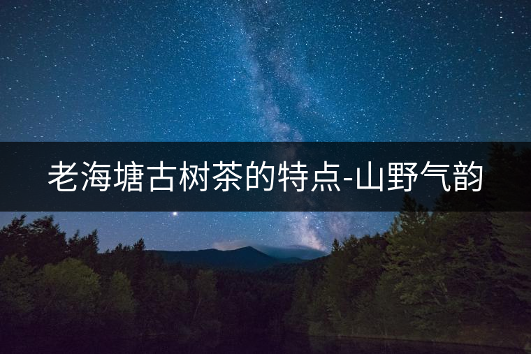 老海塘古樹茶的特點(diǎn)-山野氣韻 老海塘古樹茶的特點(diǎn)-山野氣韻