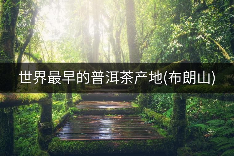世界最早的普洱茶產地(布朗山) 世界最早的普洱茶產地(布朗山)