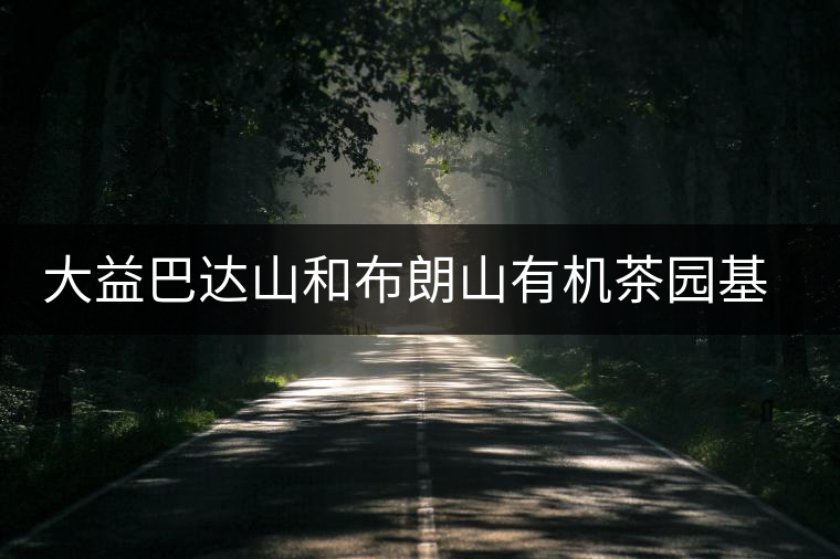 大益巴達山和布朗山有機茶園基地 大益巴達山和布朗山有機茶園基地