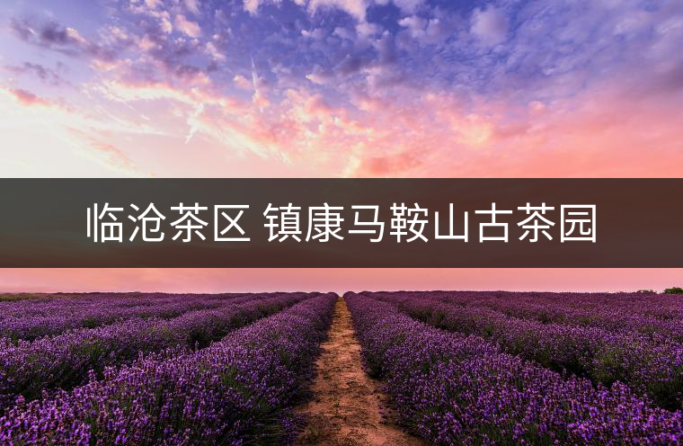 臨滄茶區 鎮康馬鞍山古茶園 臨滄茶區 鎮康馬鞍山古茶園