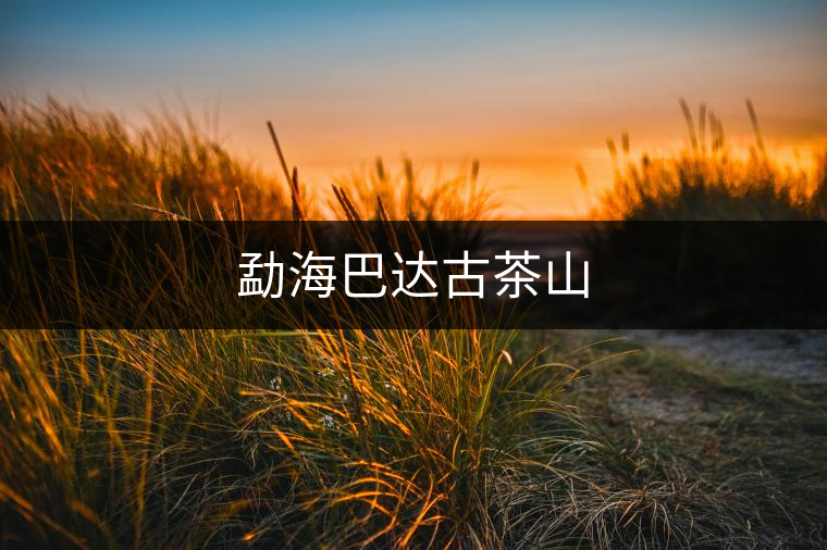 勐海巴達古茶山 勐海巴達古茶山