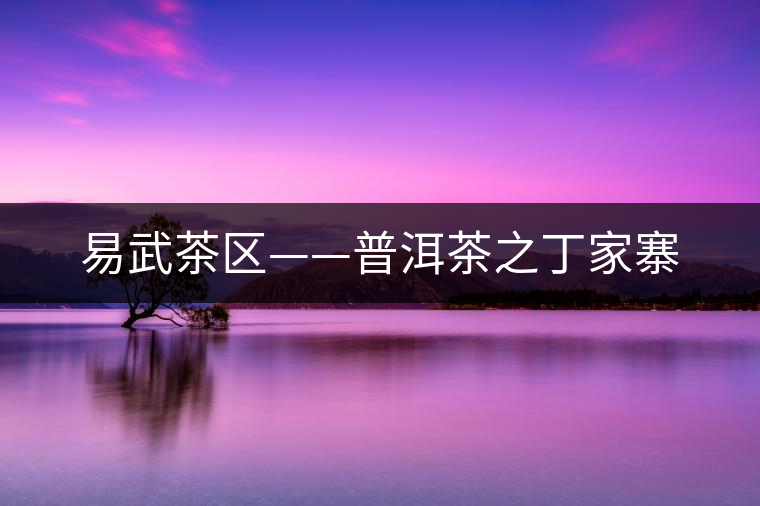 易武茶區——普洱茶之丁家寨 易武茶區——普洱茶之丁家寨