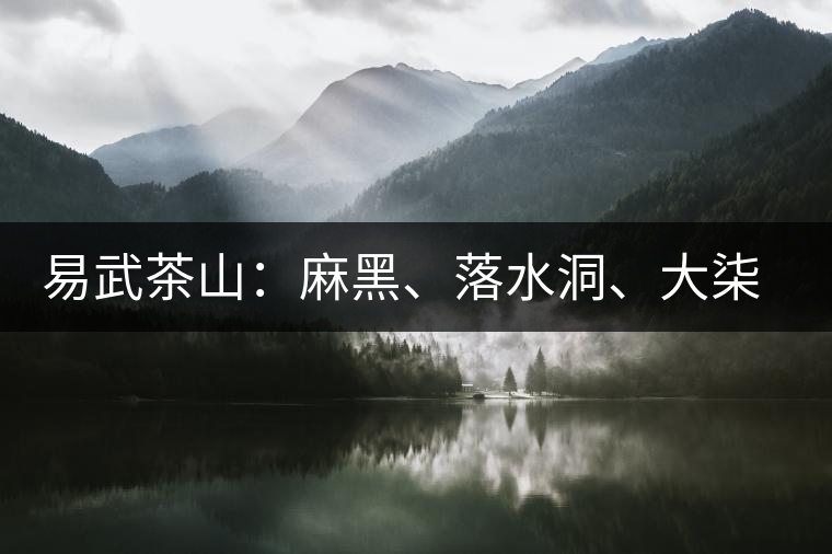 易武茶山:麻黑、落水洞、大柒樹 易武茶山:麻黑、落水洞、大柒樹