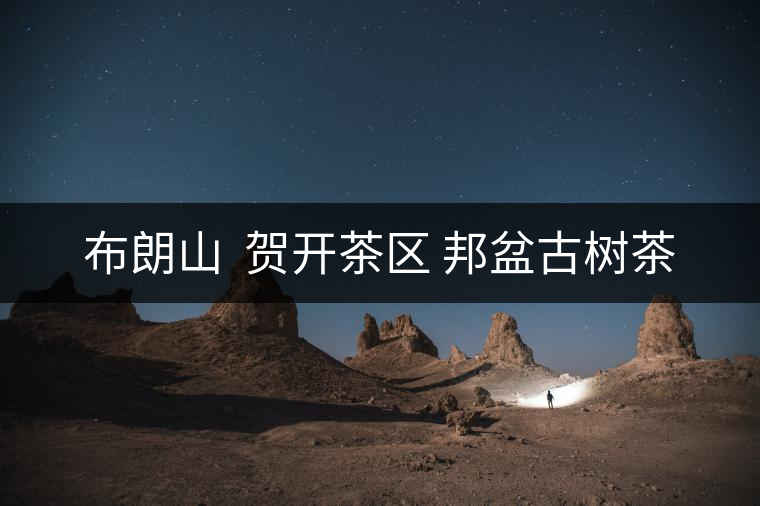 布朗山 賀開茶區 邦盆古樹茶 布朗山 賀開茶區 邦盆古樹茶