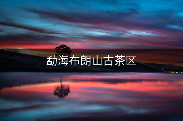 勐海布朗山古茶區 勐海布朗山古茶區