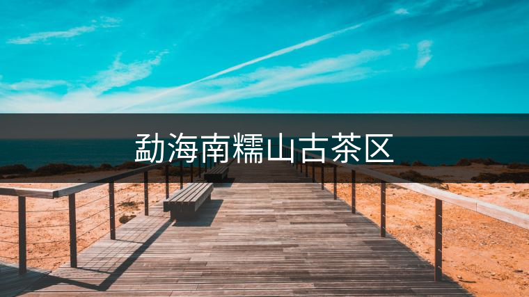 勐海南糯山古茶區 勐海南糯山古茶區