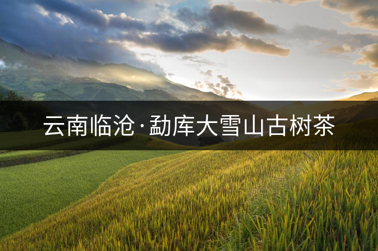 云南臨滄·勐庫(kù)大雪山古樹(shù)茶 云南臨滄·勐庫(kù)大雪山古樹(shù)茶