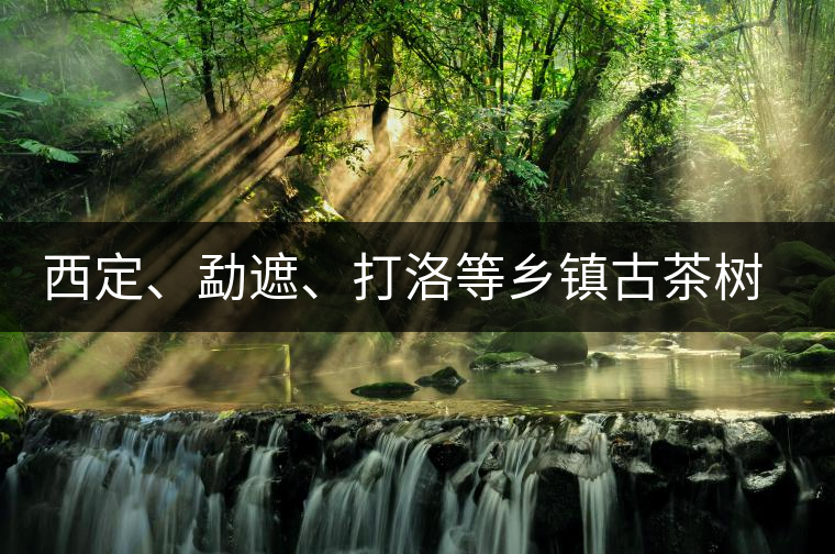 西定、勐遮、打洛等鄉(xiāng)鎮(zhèn)古茶樹(shù)資源 西定、勐遮、打洛等鄉(xiāng)鎮(zhèn)古茶樹(shù)資源