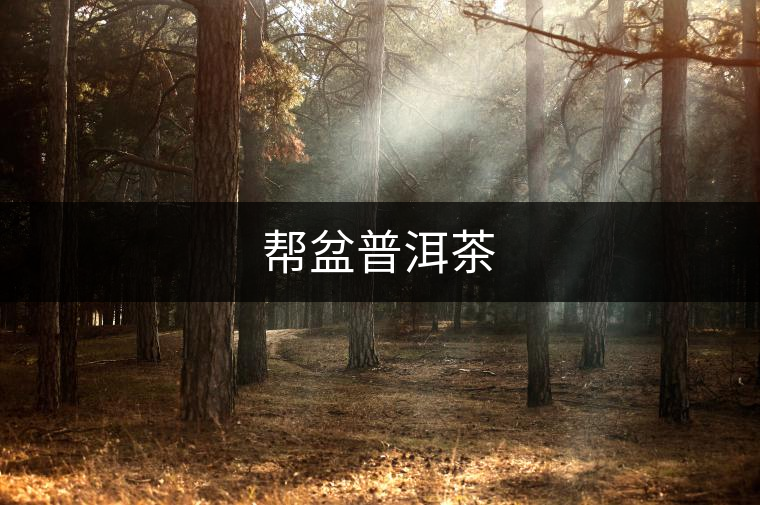 幫盆普洱茶 幫盆普洱茶