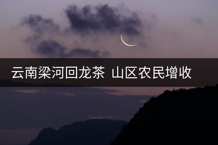 云南梁河回龍茶 山區農民增收的富民產業 云南梁河回龍茶 山區農民增收的富民產業