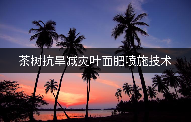 茶樹抗旱減災葉面肥噴施技術 茶樹抗旱減災葉面肥噴施技術