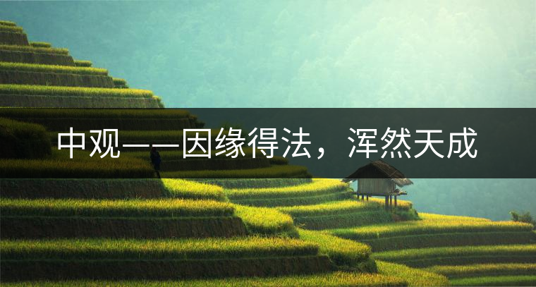 中觀——因緣得法,渾然天成 中觀——因緣得法,渾然天成