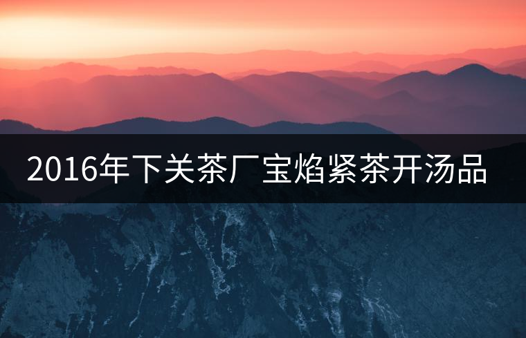 2016年下關茶廠寶焰緊茶開湯品鑒