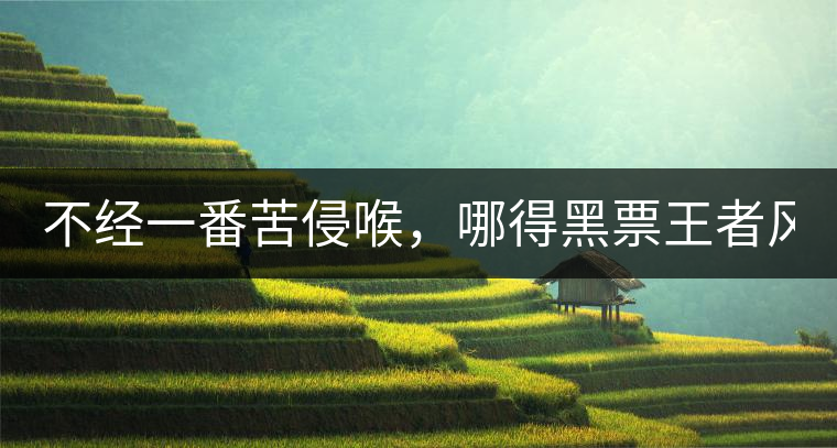 不經一番苦侵喉，哪得黑票王者風！