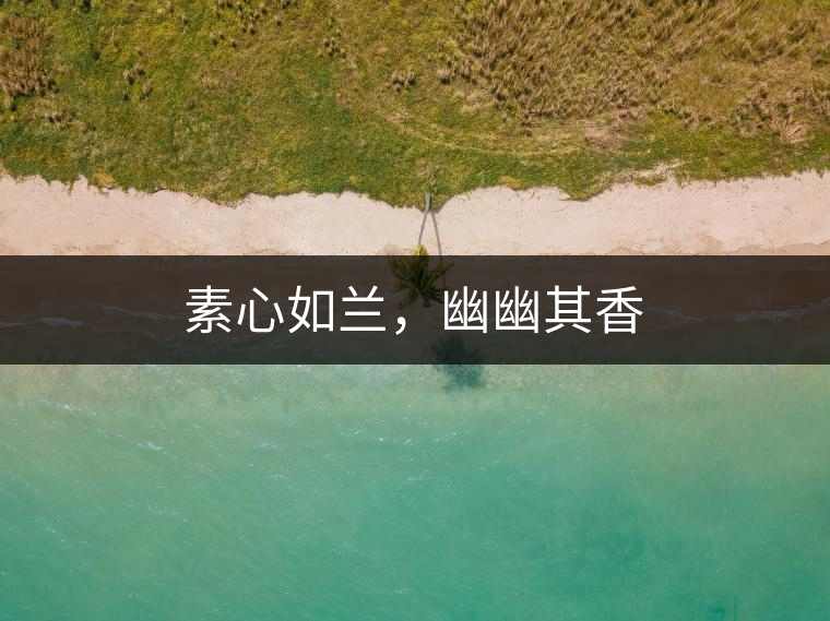 素心如蘭，幽幽其香