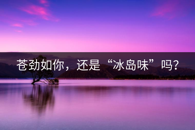 蒼勁如你,還是“冰島味”嗎? 蒼勁如你,還是“冰島味”嗎?