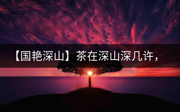 【國(guó)艷深山】茶在深山深幾許,布朗味釅釅幾分! 【國(guó)艷深山】茶在深山深幾許,布朗味釅釅幾分!