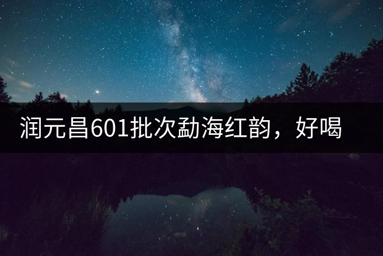 潤元昌601批次勐海紅韻，好喝不貴的口糧熟茶