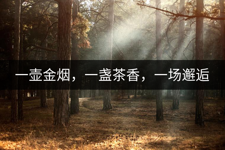 一壺金煙,一盞茶香,一場邂逅 一壺金煙,一盞茶香,一場邂逅