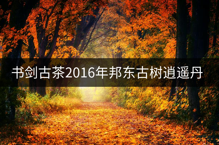 書劍古茶2016年邦東古樹逍遙丹開湯 書劍古茶2016年邦東古樹逍遙丹開湯