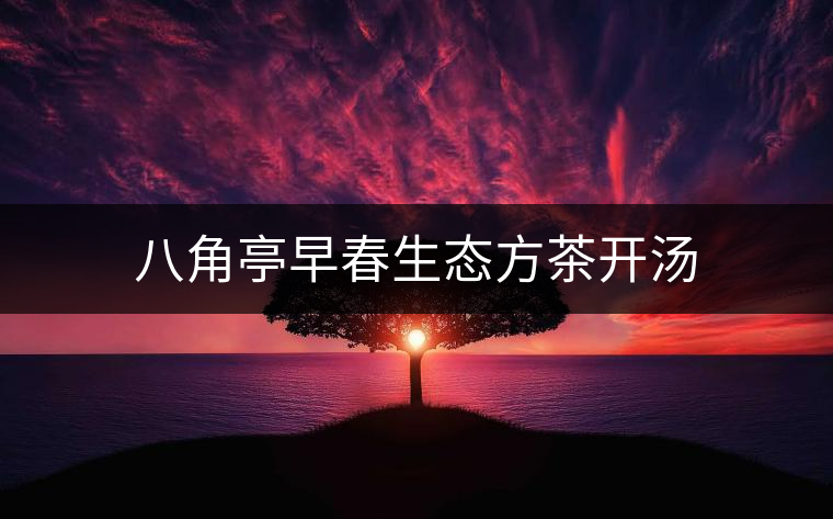 八角亭早春生態方茶開湯 八角亭早春生態方茶開湯