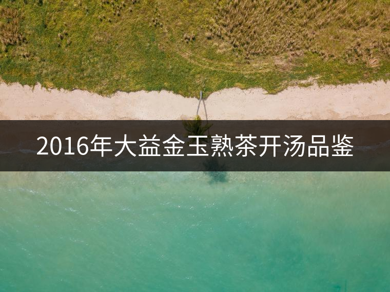 2016年大益金玉熟茶開湯品鑒
