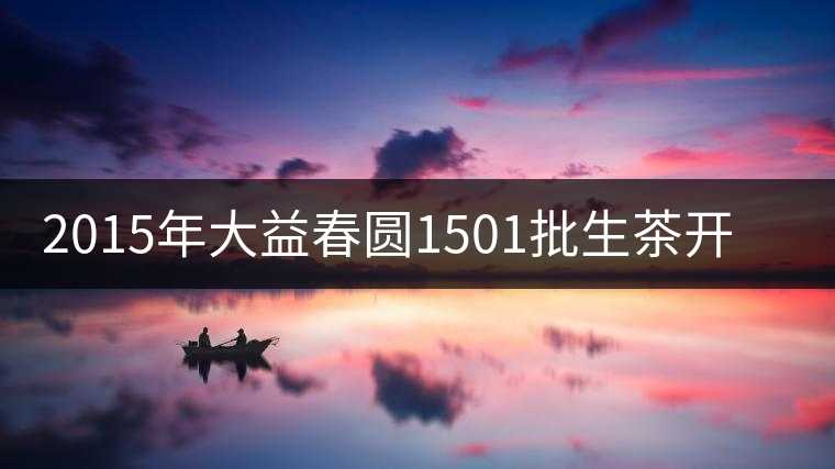 2015年大益春圓1501批生茶開湯品鑒 2015年大益春圓1501批生茶開湯品鑒