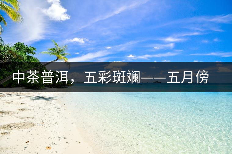 中茶普洱,五彩斑斕——五月傍晚,一道茶 中茶普洱,五彩斑斕——五月傍晚,一道茶