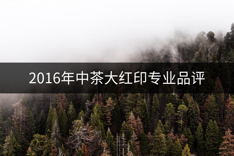 2016年中茶大紅印專業品評 2016年中茶大紅印專業品評