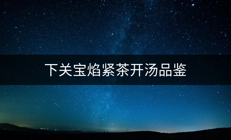 下關寶焰緊茶開湯品鑒 下關寶焰緊茶開湯品鑒