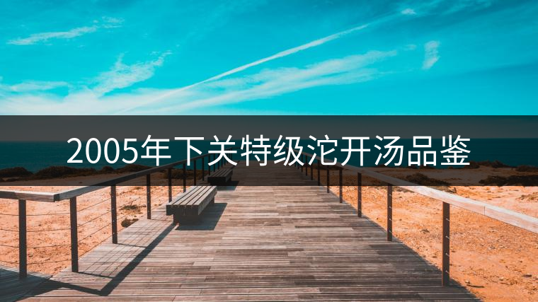 2005年下關特級沱開湯品鑒 2005年下關特級沱開湯品鑒