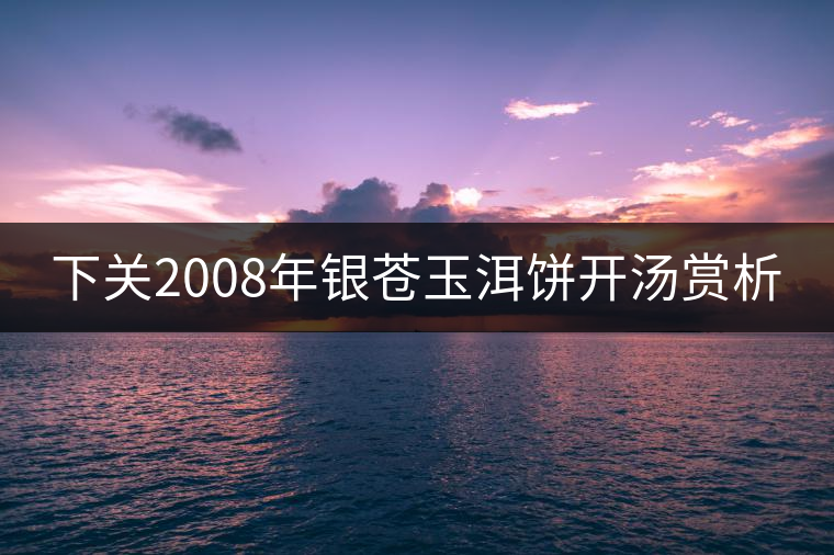 下關2008年銀蒼玉洱餅開湯賞析