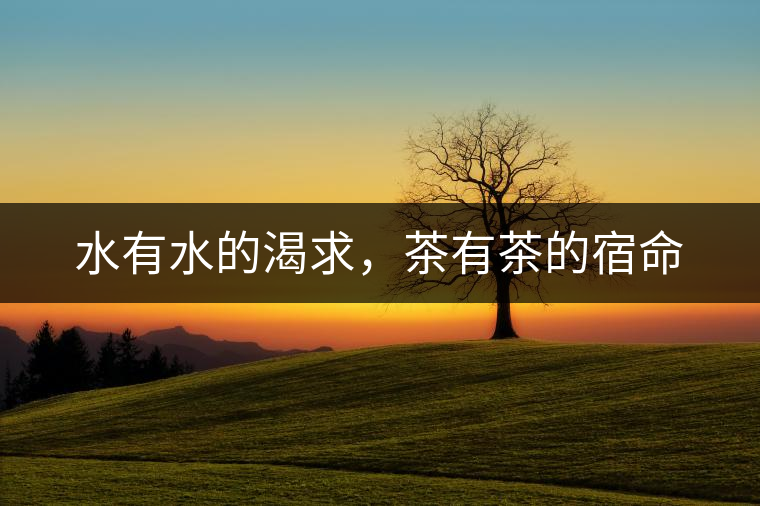 水有水的渴求，茶有茶的宿命