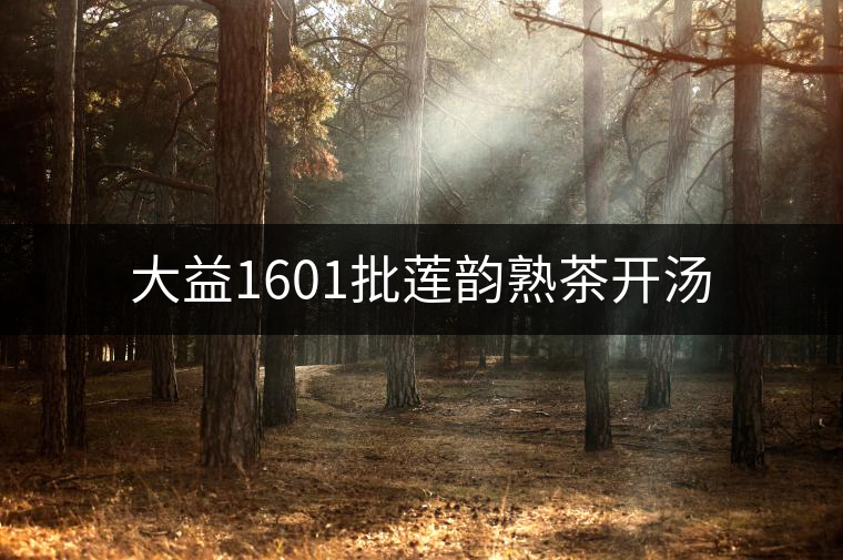 大益1601批蓮韻熟茶開湯 大益1601批蓮韻熟茶開湯