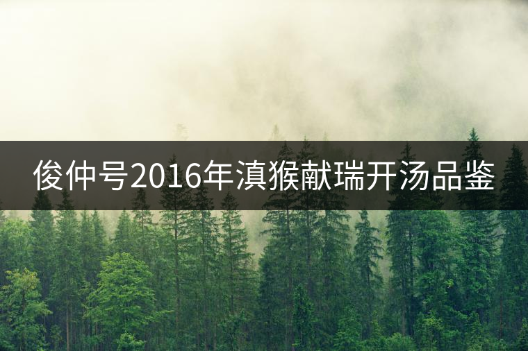 俊仲號2016年滇猴獻瑞開湯品鑒 俊仲號2016年滇猴獻瑞開湯品鑒