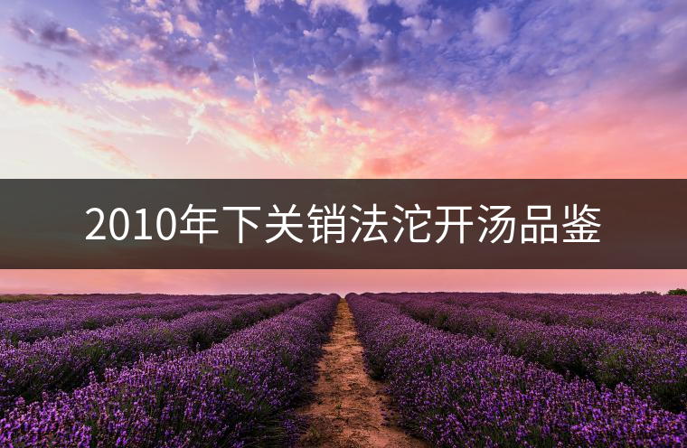 2010年下關銷法沱開湯品鑒