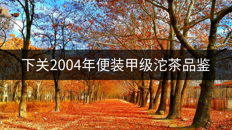 下關2004年便裝甲級沱茶品鑒 下關2004年便裝甲級沱茶品鑒