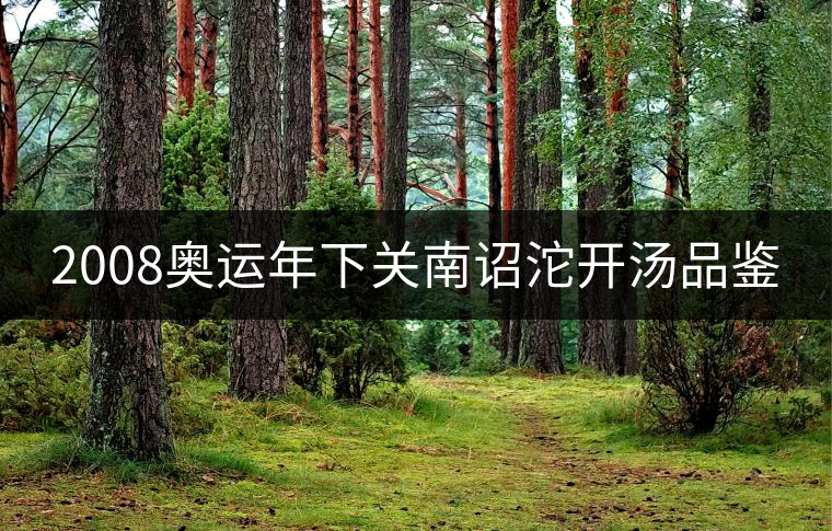 2008奧運年下關南詔沱開湯品鑒