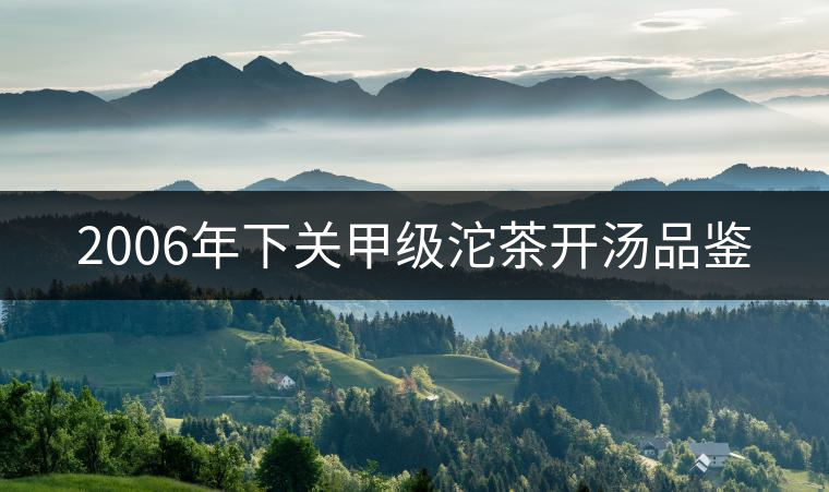 2006年下關甲級沱茶開湯品鑒 2006年下關甲級沱茶開湯品鑒