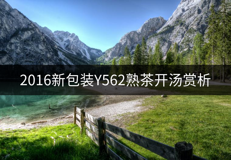 2016新包裝Y562熟茶開湯賞析