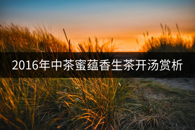 2016年中茶蜜蘊香生茶開湯賞析 2016年中茶蜜蘊香生茶開湯賞析