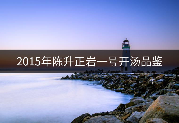 2015年陳升正巖一號(hào)開湯品鑒 2015年陳升正巖一號(hào)開湯品鑒
