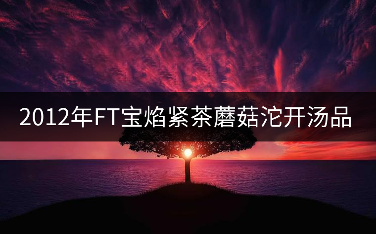 2012年FT寶焰緊茶蘑菇沱開湯品鑒 2012年FT寶焰緊茶蘑菇沱開湯品鑒