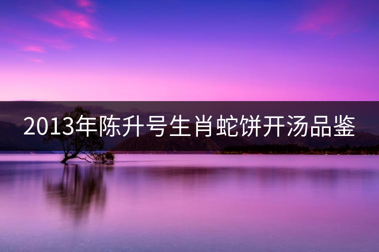 2013年陳升號生肖蛇餅開湯品鑒 2013年陳升號生肖蛇餅開湯品鑒
